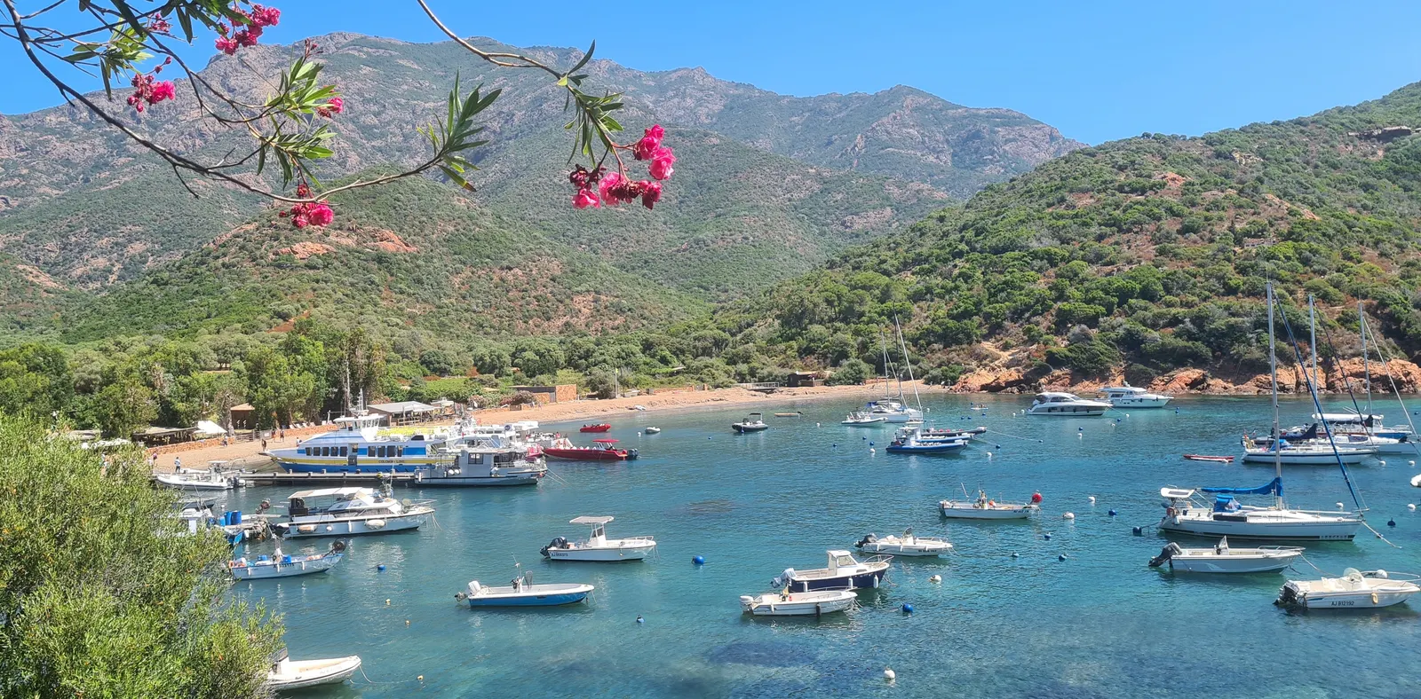 Le port naturel de Girolata, ses bateaux au mouillage et sa plage au pied du maquis